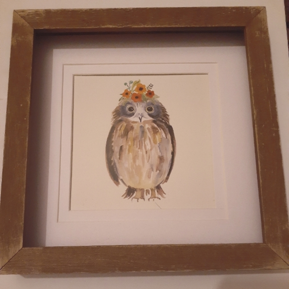 Cute Owl Painting